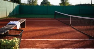 Davis-Cup-Wetten in Deutschland: welche Buchmacher überzeugen
