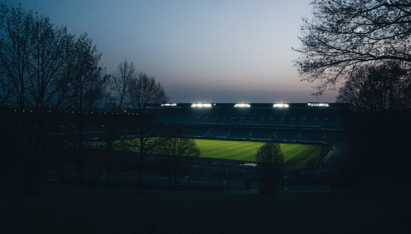 Ein Stadion unter Flutlicht aus großer Entfernung, davor die Silhouetten von Bäumen im Abendhimmel.